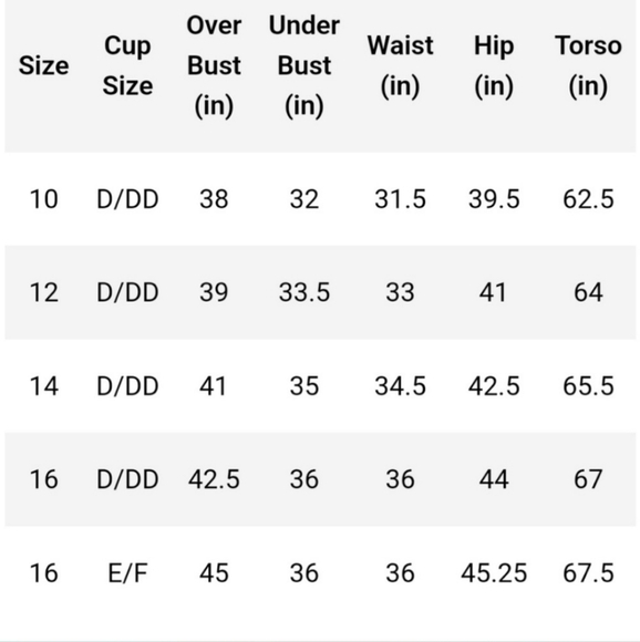 NWTs GabiFresh x Swimsuits For All Ember Cut Out Swimsuit - Picture 3 of 3